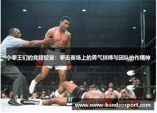 小拳王们的竞技较量：拳击赛场上的勇气拼搏与团队协作精神