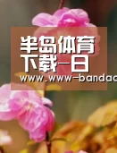 半岛体育app