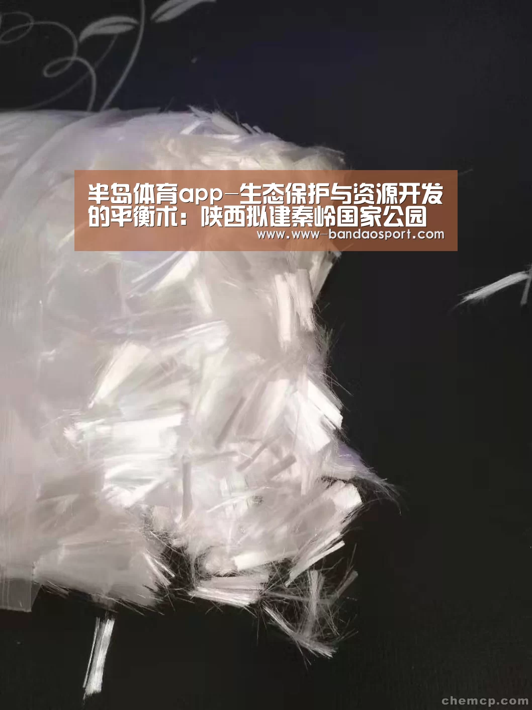 半岛体育app下载
