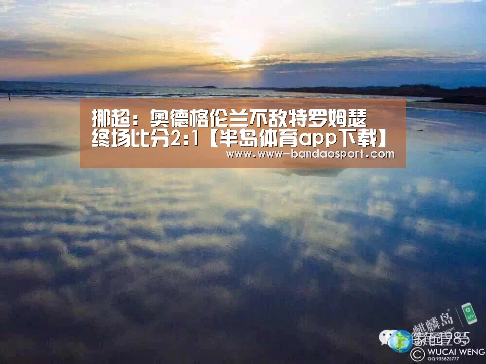 半岛体育app
